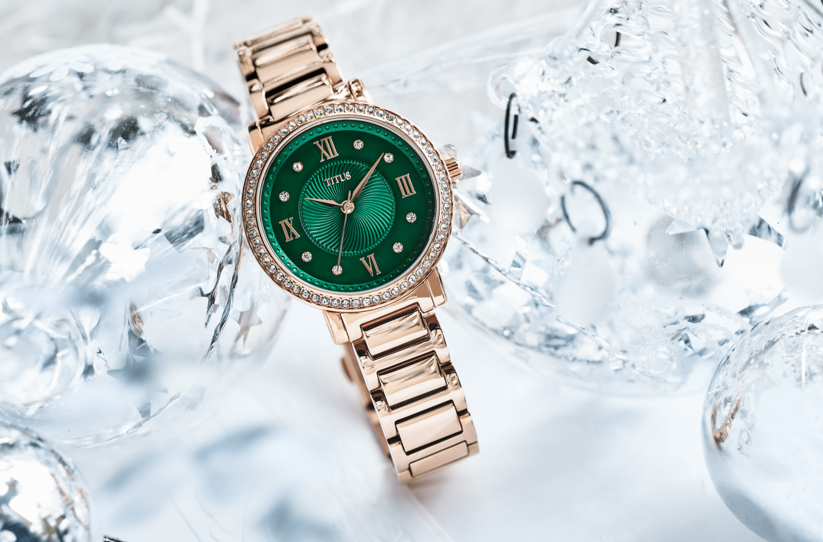 Citizenwatch Fred Meyer Watches Fred Meyer Discount Women's Watches